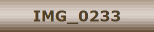 IMG_0233